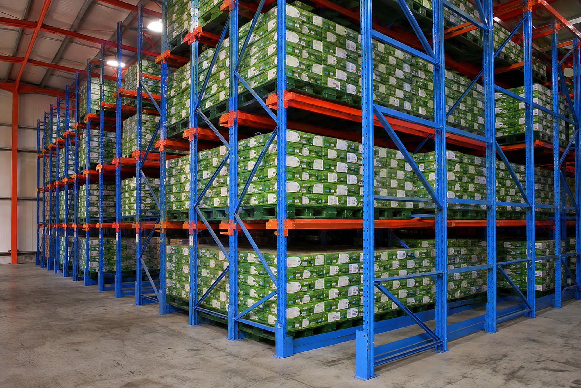 Warehouse Commercial Industrial drive-in pallet racking rear service aisle green cartons racknsave Singapore